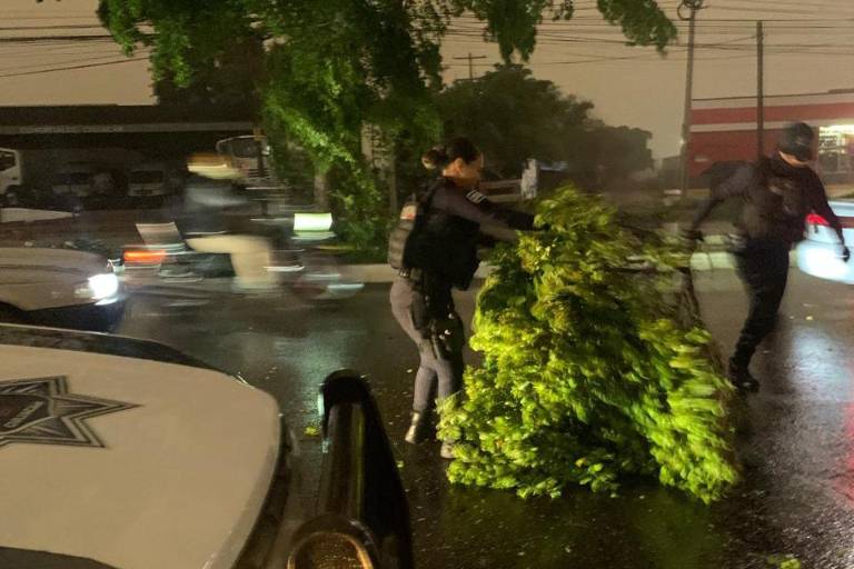 Activa SSPyTM protocolo de atención por lluvias y vientos en Culiacán; suman 29 intervenciones