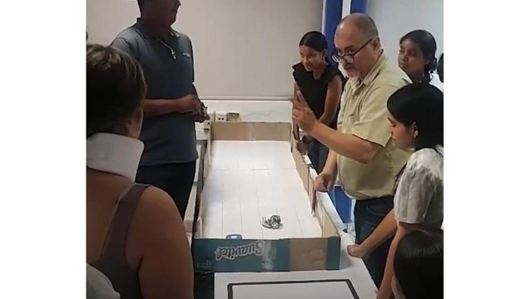Las actividades se desarrollaron en un exposición de los “Cutebol”.