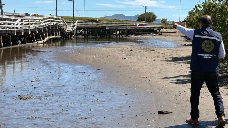 Arianna Carrera Ugarte explicó que los estudios determinarán de manera definitiva si la instalación será rehabilitada, restaurada o retirada en su totalidad.