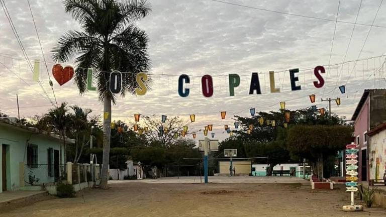 Los Copales cumple casi 24 horas sin luz; familias temen afectaciones a enfermos y adultos mayores.