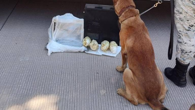Los envoltorios con cristal estaban ocultos dentro del CPU de una computadora de escritorio.
