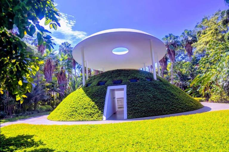 Sociedad Botánica invita a los culiacanenses a celebrar el aniversario del Jardín Botánico y Parque Ecológico