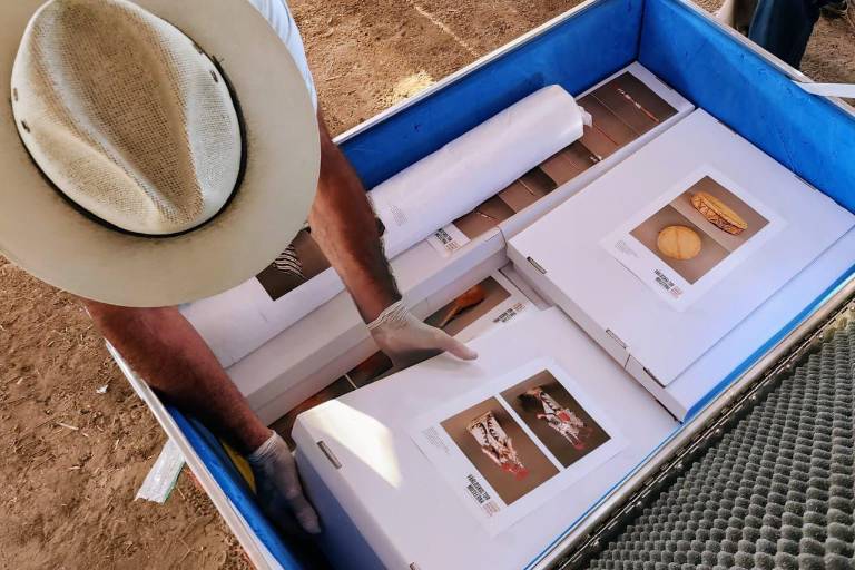 En ceremonia histórica, pueblo yaqui recibe el Maaso Koba y objetos ceremoniales repatriados desde Suecia