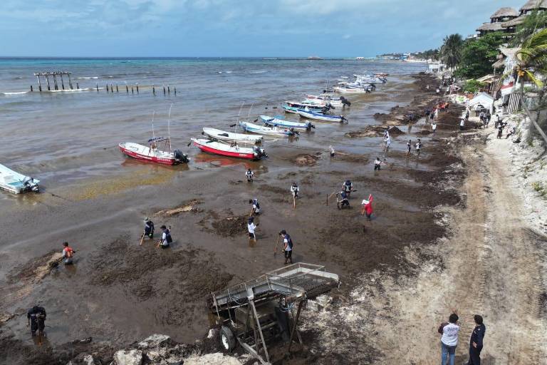 Refuerza Marina estrategia contra sargazo en el litoral de Quintana Roo