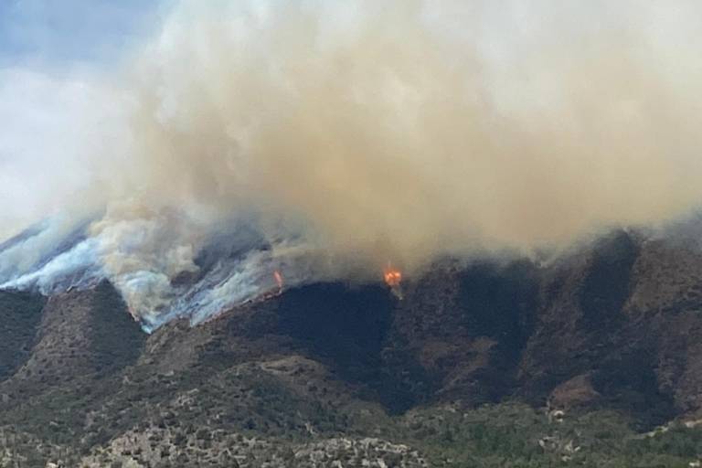 Nuevo León en alerta por incendios forestales