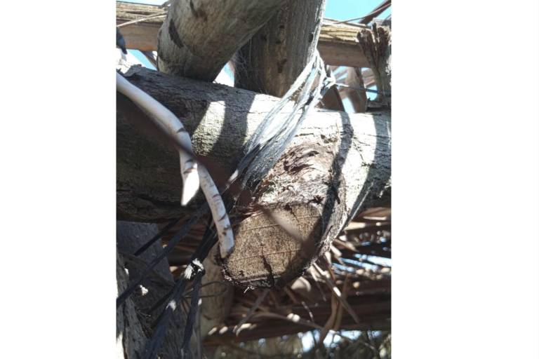 Roban más de 900 metros de cable de cobre en Las Cabras, en Escuinapa