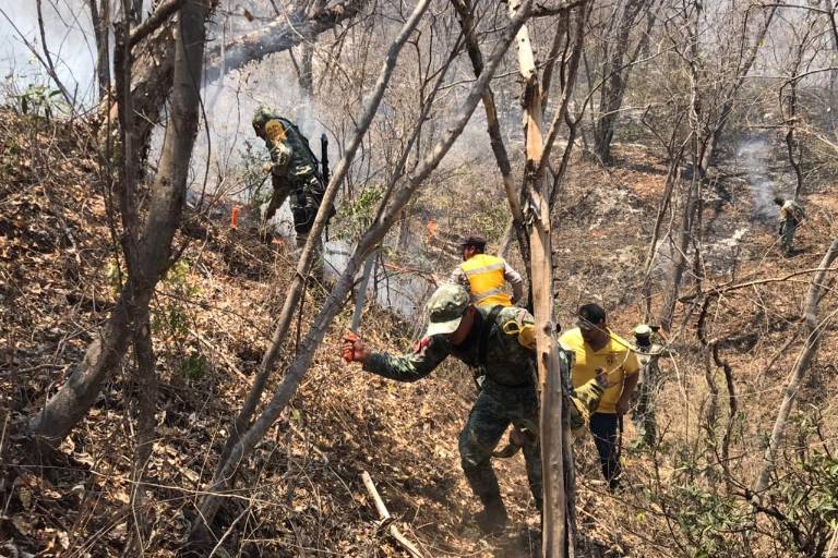 Aumentan incendios forestales en Sinaloa; Conafor registra 13 activos en seis municipios
