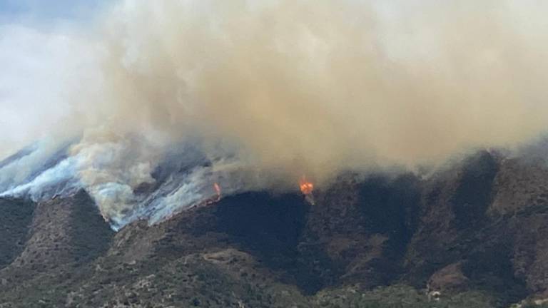 Nuevo León en alerta por incendios forestales