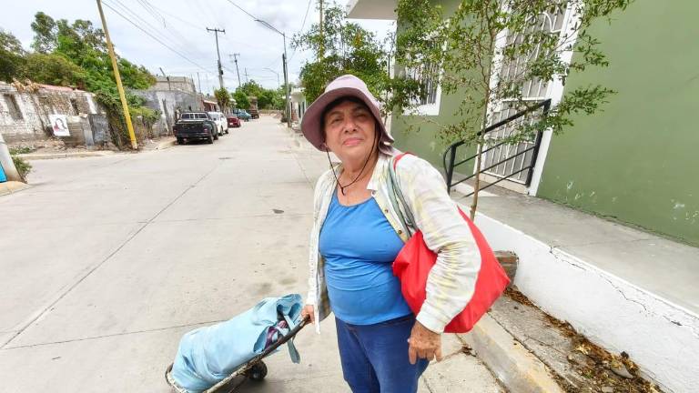 Desde hace 32 años, Francisca recorre las calles de Rosario ofreciendo productos a sus clientes.