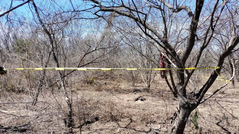 Sabuesos Guerreras encuentran restos humanos en Culiacán