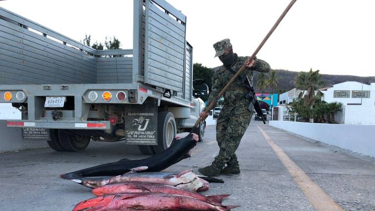 Se localizaron aproximadamente 240 kilogramos de producto pesquero y aditamentos de pesca.