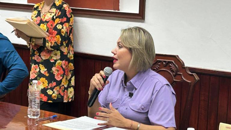 Erika Sánchez criticó la falta de avances en propuestas relacionadas con seguridad y atención a la niñez.