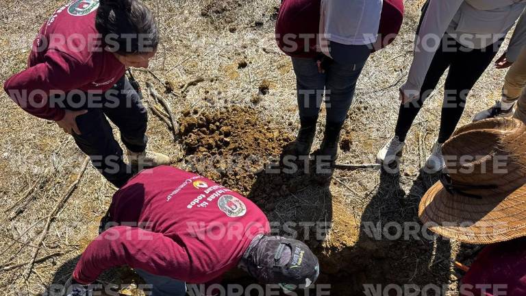 Este domingo las rastreadoras acudieron de nuevo al sitio, donde fue reportado un hallazgo positivo, de lo que sería un cuerpo en la fosa clandestina.