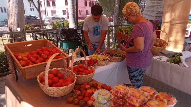 Participan artesanos que venden productos vegetales, y otros elaborados de manera artesanal.