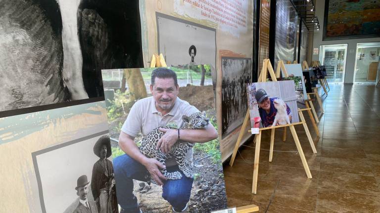 Exponen fotografías de activistas de Culiacán en el corredor Dámaso Murúa
