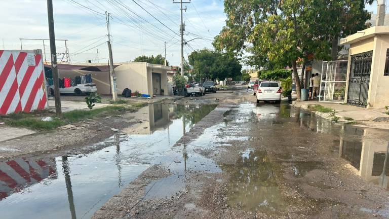 Vecinos de Infonavit Barrancos denuncian que un colapso de drenaje en la calle Coníferas mantiene aguas negras, malos olores e incluso brotes de dengue.
