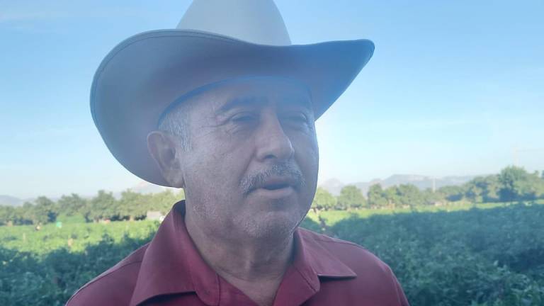 Urgen en Escuinapa apoyo para dar valor agregado a las hortalizas