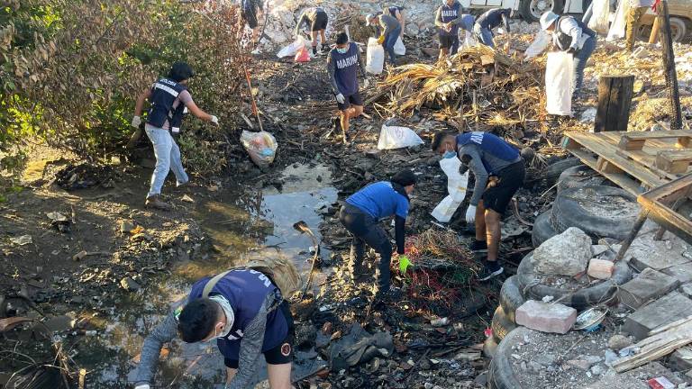 Elementos de la Armada de México y dependencias ambientales recolectaron 2.5 toneladas de desechos en el Estero Infiernillo.