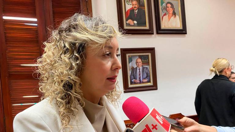 Janet Faviola Tostado Noriega, Secretaria de Desarrollo Económico de Culiacán.