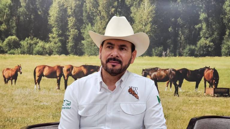 José Alfredo Sáinz Aispuro afirmó que las primeras lluvias registradas en la entidad han permitido el reverdecimiento de los pastizales y representan un alivio para los productores.