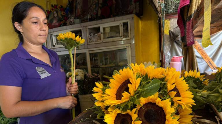 Entre rosas, girasoles y canastas florales, los puestos del puerto de Mazatlán afinan detalles rumbo al 10 de mayo.