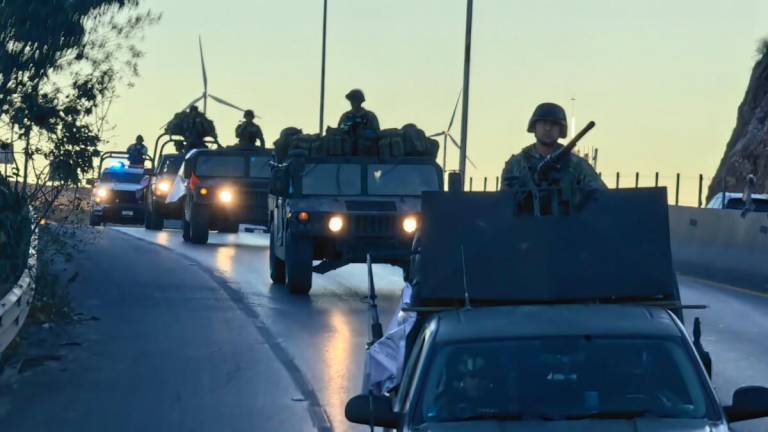 Involucrar al Ejército Mexicano en reparación de carreteras lo demerita, señala especialista