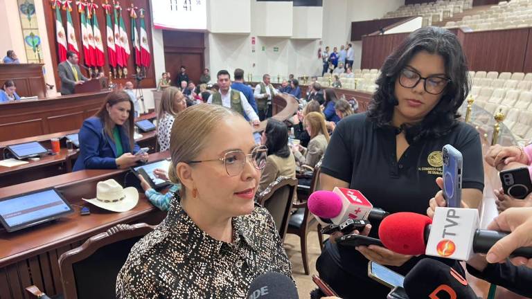 La Diputada local por Movimiento Ciudadano, Elizabeth Montoya Ojeda, acusó que la protección que se le asignó ha sido politizada.