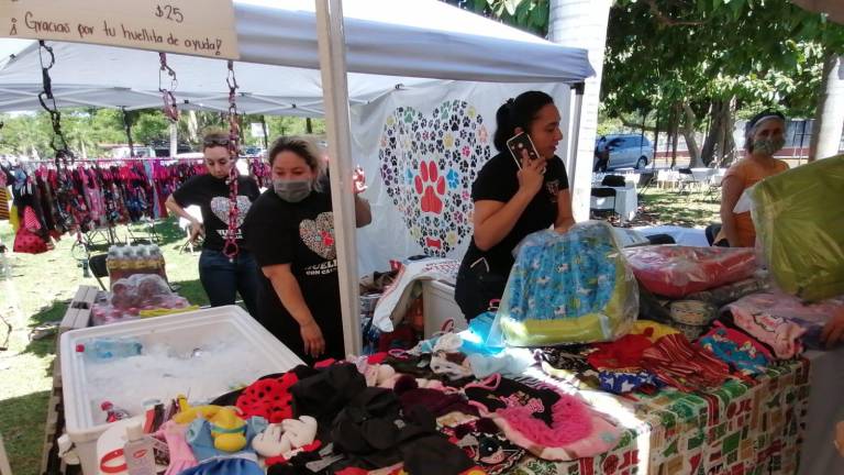 El bazar tiene como objetivo apoyar a las Micro, Pequeñas y Medianas Empresas (MIPyMES) sinaloenses, a través de la venta de productos, artesanías y servicios.