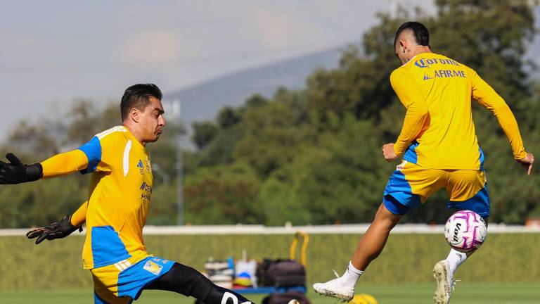 Tigres recibe a Toluca en la fecha 11.