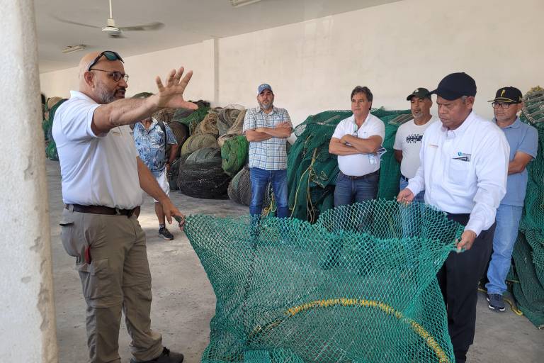 México recibe certificación de EU por uso correcto de Dispositivos Excluidores de Tortugas Marinas