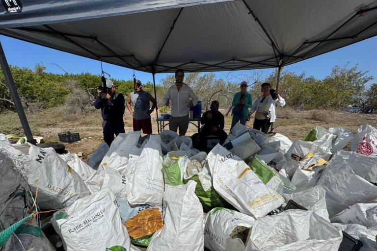 Mitigan contaminación del manglar de ‘Isla Basura’ en Mazatlán