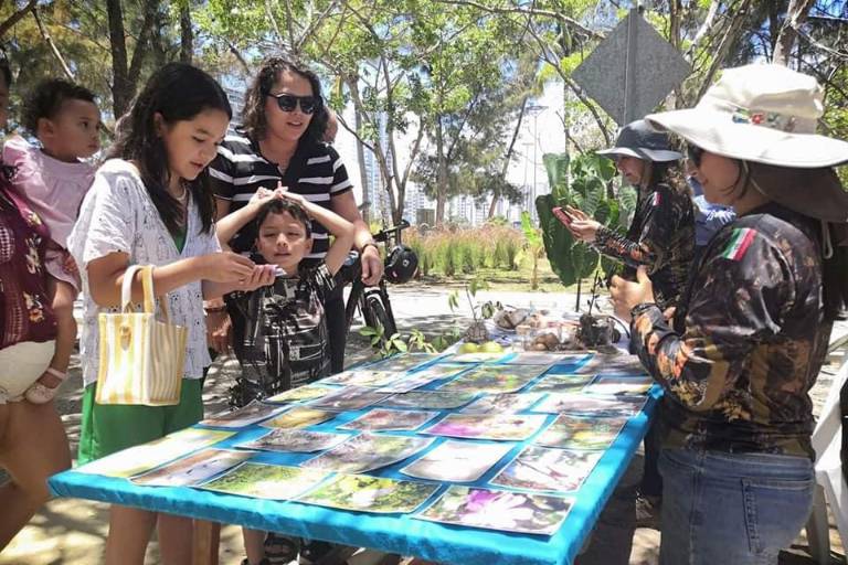 Mostrarán proyectos y acciones a favor del medio ambiente en la Expo Ambiental Son Playas, en Mazatlán