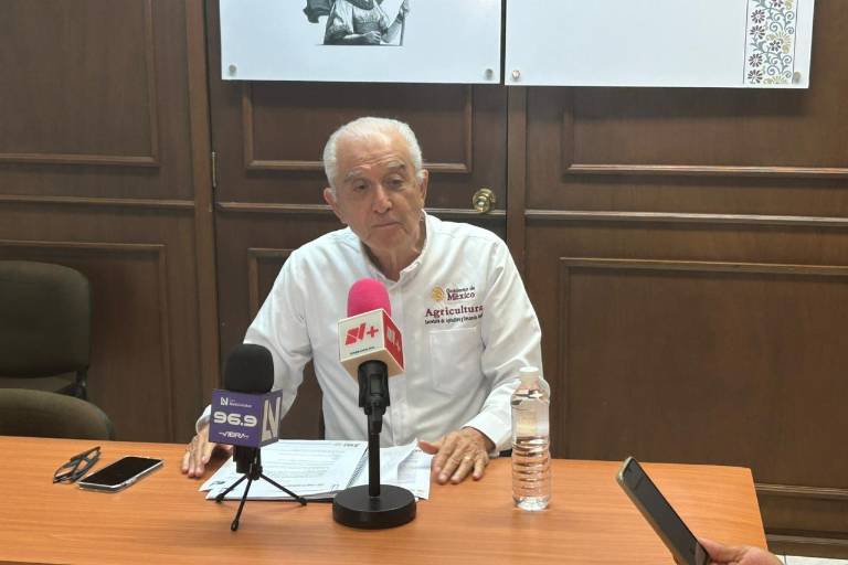 Llaman a productores a registrarse para apoyos al trigo y anuncian prórroga para permisos de siembra hasta el 20 de enero