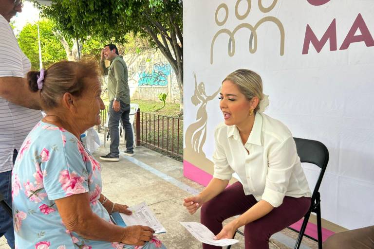 Servicios públicos, apoyos sociales y asesoría jurídica es lo más solicitado en la Salvador Allende