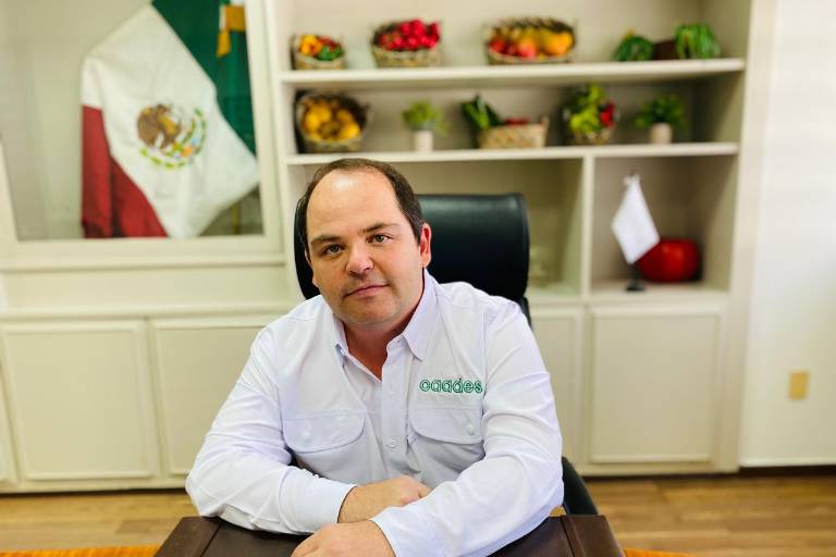 Gobierno debe intervenir en ordenamiento de mercado del maíz: Caades