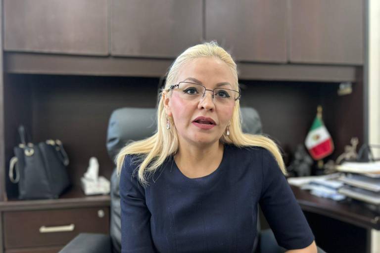 Detectan irregularidades en cerca de 20 casillas de El Rosario