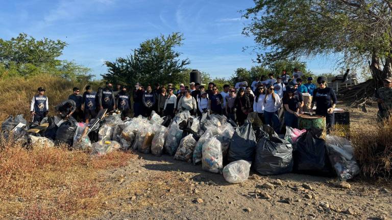 MazConciencia informó que la siguiente jornada de limpieza será el próximo 27 de diciembre.