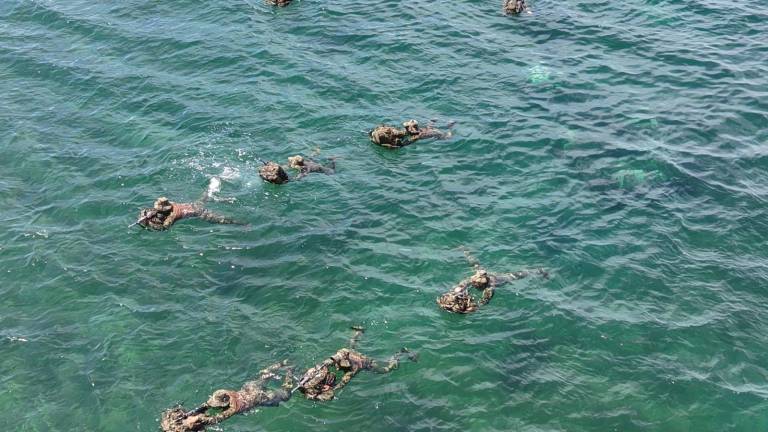 Elementos de la Fuerza Naval del Pacífico realizaron patrullajes, aseguramientos y actividades de capacitación durante el mes de febrero.
