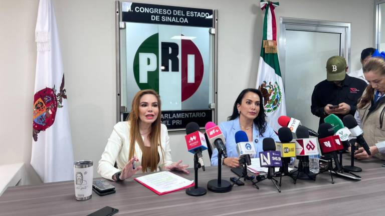 La Diputada local por el PRI, Paola Gárate Valenzuela, reprocha que la CFE no explique los cobros excesivos en el consumo de electricidad.