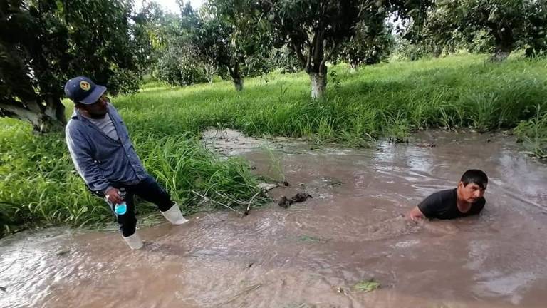 La fuga se presentó en un terreno particular.