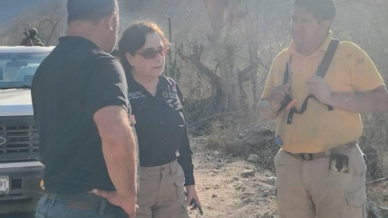 Laura Velázquez Alzúa, coordinadora nacional de Protección Civil, da el apoyo para la búsqueda de periodista extraviado.