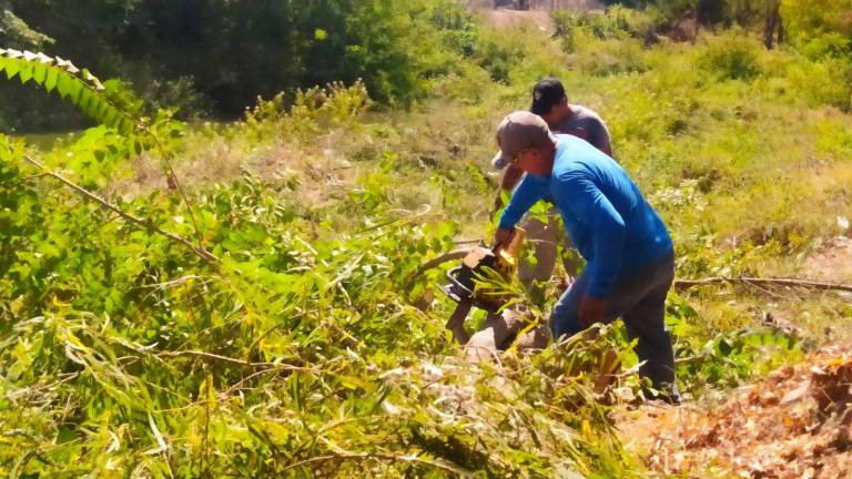 Limpian el cauce del Arroyo Buñigas en Escuinapa