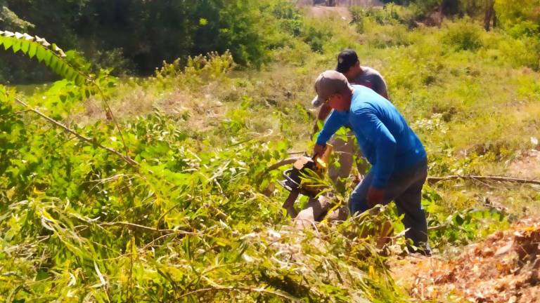 Personal de Protección Civil, Cuerpo de Bomberos y Obras Públicas se encargan de la limpieza.