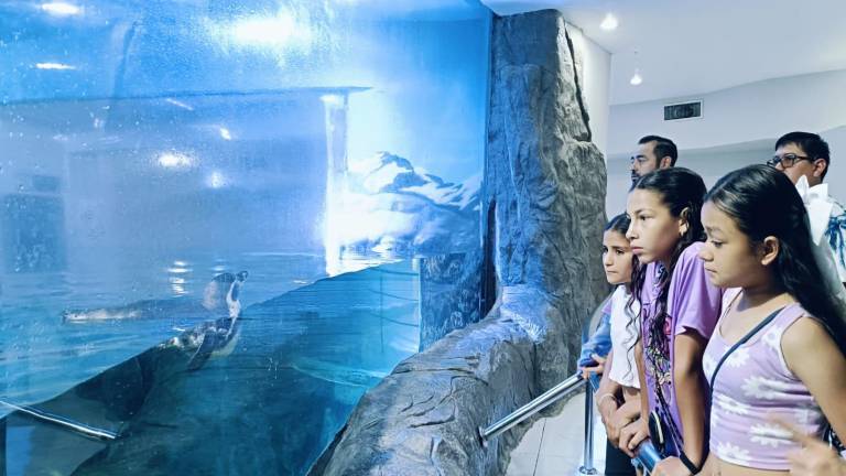 Estudiantes de Escuela Rural Justo Sierra, de Escuela Rural Justo Sierra Huixiopa, de Badiraguato, Sinaloa, visitan por primera vez el Gran Acuario Mar de Cortés.