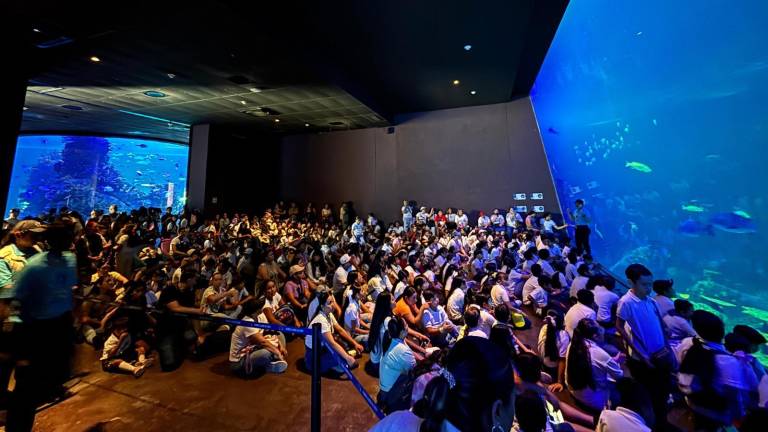 Este fin de semana termina la promoción para visitar el Gran Acuario Mazatlán a precio especial.