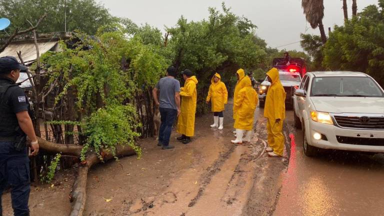 Personal de Protección Civil y otras corporaciones atiende las afectaciones derivadas de la tormenta tropical Norma en Sinaloa.