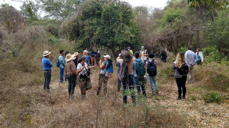 Decenas de personas participan en el Reto Naturalista Urbano en distintas zonas de la ciudad.