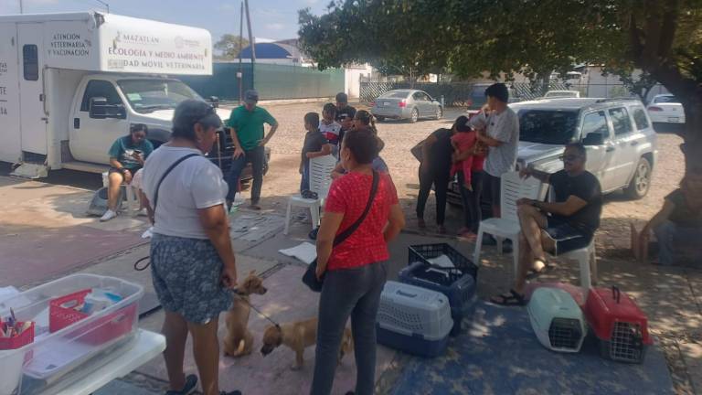 Las jornadas de esterilización de mascotas gratuitas.