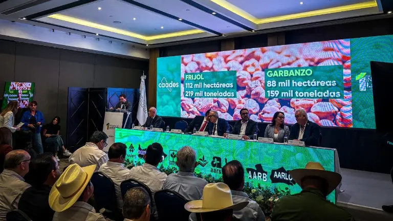 Jesús Alberto Rojo Plascencia presenta su primer informe al frente de la Caades.