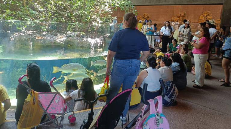 La iniciativa “Hoy cumplo mi sueño de conocer el mar” permitió que niñas y niños de la región Lagunera visitaran Mazatlán por primera vez.